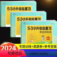 53小升初总复习 语文+数学+英语 小学升初中 [正版]2024新版53小升初总复习语文数学英语人教版小学六年级下册试卷