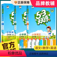 [五下 人教版]53天天练+53全优卷语文数学英语 2024版 小学五年级 [正版]2024新版53天天练五年级上下册同