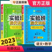 [人教版]语文+数学 一年级下 [正版]2023春新版一年级下册实验班提优训练小学1年级下语文数学全套人教版苏教版北师大