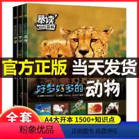 暴读百科全3册 [正版]暴读百科全套3册小学生科普课外阅读书昆虫动物宇宙儿童趣味百科知识全书少儿启蒙绘本好多好多的动物好
