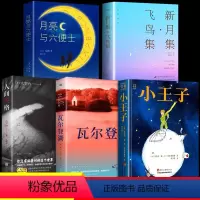 [全5册]世界经典文学名著合集 [正版]小王子+月亮与六便士+瓦尔登湖+新月集飞鸟集+人间失格 世界经典文学名著5册原著