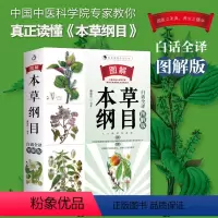 [正版] 彩色图解本草纲目 经典图鉴 忠于原著李时珍白话文易懂养生书籍中医中草药彩图大全实用中医书籍中药材书籍养生大全