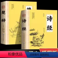 [正版]楚辞+诗经全集原著完整版 插图版中小学生初中生高中生成人无删减305首诗经楚辞详解版拼音注析 译注解析鉴赏古诗