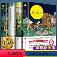 [正版]柳林风声 绿野仙踪爱丽丝漫游奇境木偶奇遇记小学生课外老师阅读书籍三四五六年级必读经典书目青少年儿童文学故事书读