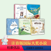第一辑 5册 [正版]新东方小书虫国际大奖小说第1第2辑 美绘注音版 纽伯瑞安徒生儿童文学奖作品幼小衔接读物桥梁书籍幼儿