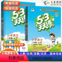 语(人教)+数(人教) 二年级下 [正版]2024春新版 53天天练二年级上册下册语文数学全套人教版北师版苏教版小学2年