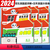 语数英☆小升初[分类卷+招生真题]6本(全国通用) 小学通用 [正版]2024小白鸥星空小升初分类卷语文数学英语五年真题