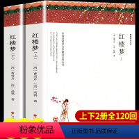 红楼梦(上/下册)120回 完整版 [正版]上下2册 带注释导读红楼梦原著完整版无删减 四大名著之一 高中阅读初中生小学