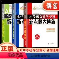 [全3册]语文+数学+英语 小学升初中 [正版]小学语文数学英语升学夺冠新考题大集结小升初知识大集结专项训练小考系统总复