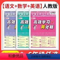 [全3册]语文+数学+英语(人教版) 三年级下 [正版]高效学习周计划少年素质教育报一二三四五六年级上下册语文数学英语人