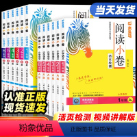 [全2册]阅读小卷A版+B版 小学一年级 [正版]2024新版木头马阅读小卷小学语文AB版一二三四五六年级上册下册人教版