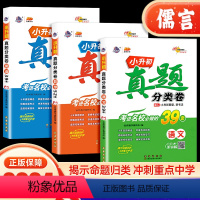 语文+数学+英语 小学升初中 [正版]2024版小升初真题分类卷语文数学英语 重点中学招生小升初分类集训必刷题专项训练押