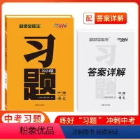 语文 [正版]BK2024版 语文 习题中考 天利38套