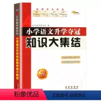 语文 小学升初中 [正版]新版小学语文升学夺冠知识大集结小升初知识大集结专项训练题总复习资料知识大全归纳六年级小学升初中