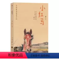 小红马 [正版]后浪 大作家写给孩子们:小红马 7—10岁青少年经典文学 诺贝尔文学奖斯坦贝克中篇小说 浪花朵朵童