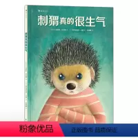 刺猬真的很生气 [正版]浪花朵朵 刺猬真的很生气 4岁+ 社交矛盾友情尊重 性格培养 图画故事 亲子共读绘本