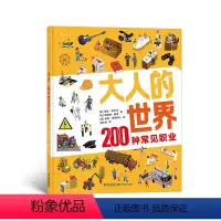 [正版]浪花朵朵童书 大人的世界200种常见职业 20张超真实大幅全景图 200种常见职业介绍 职业科普 4-8岁儿童