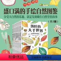 盛口满的手绘自然图鉴系列7册 [正版]浪花朵朵 盛口满的手绘自然图鉴系列7册 水果的秘密蔬菜的植物学 7-10岁 儿童插