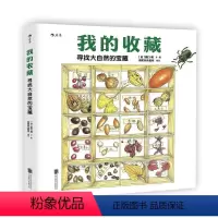 [正版]我的收藏 浪花朵朵童书 寻找大自然的宝藏 6到12岁小学生儿童植物动物科普百科书籍大全 读物绘本课外图画书