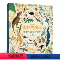 奇妙的演化 [正版]奇妙的演化 探索生命如何演变 2021大鹏自然童书奖生物多样性奖趣味图解进化论对生命科学的思考与探索