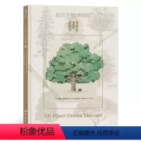 我的手绘博物馆. 树 [正版]我的手绘博物馆:树 6岁以上树木百科自然科普 博物画 浪花朵朵童书 法国童书出版人联手专业
