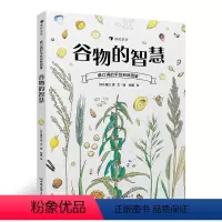 [正版]盛口满的手绘自然图鉴谷物的智慧 浪花朵朵童书 儿童插图科普百科绘本书籍