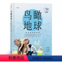 [正版]浪花朵朵童书 鸟瞰地球 讲述地球的故事青少版 世jie级航拍大师扬·*具=**阿尔蒂斯贝特朗摄影 自然科普百科