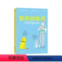 智商的秘密 [正版]智商的秘密 7-12岁大脑智力认知 少儿科普百科 浪花朵朵童书
