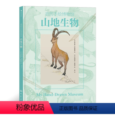 我的手绘博物馆:山地生物 [正版]我的手绘博物馆:山地生物 6岁以上科普百科 浪花朵朵童书 法国童书出版人联手专业科学插