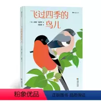 飞过四季的鸟儿 [正版]飞过四季的鸟儿 四季观鸟指南 3-8岁儿童绘本动物四季生命自然 领略自然之美 浪花朵朵童书