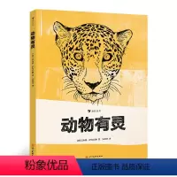 [正版]浪花朵朵童书 动物有灵 入围大鹏自然童书奖50强 手工雕刻动物版启发我们思考人与动物的关系 3一6岁幼儿园书籍