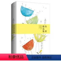 [正版]孙犁精选集 世纪文学经典精装版