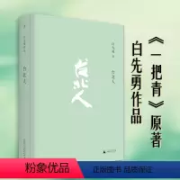 [正版]台北人 白先勇 著 新版 十四个短篇爱情小说 一把青 孽子 树犹如此 中国现当代文学 理想国