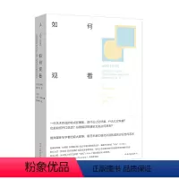 [正版]如何观看 关于艺术的看、说、思 大卫·萨利 著 艺术理论 艺术研究 直营 图书