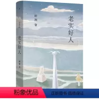 [正版]老实好人 顾湘 豆瓣2023年度中国文学(小说类)TOP4 作家、画家顾湘全新小说集温暖上市 写给老实好人的情