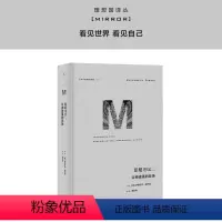 [正版]译丛037 印尼Etc 伊丽莎白 皮萨尼著 完整探索与中国既亲近又遥远的万岛之国 幽暗国度 印度受伤的文明 书