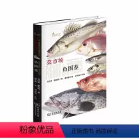 [正版]书籍菜市场鱼图鉴 自然观察丛书 吴佳瑞 赖春福 著 餐桌上生物学 鱼鲜认知图谱科学自然观察课 鱼类博物大百科