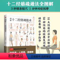 [正版]图解十二经络调筋术 十二经筋疏通法全图解 一学就会 50种经筋病症的康复训练 12种经筋功用介绍 10大经筋疗