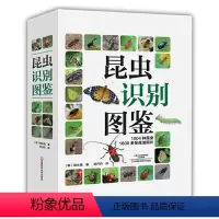 [正版]昆虫识别图鉴
