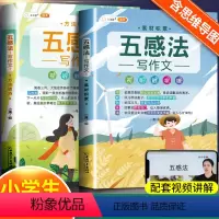 [基础入门-2本]五感法写作文 小学通用 [正版]斗半匠小学生作文大全素材积累方法技巧入门小学五感法写作文三四五六年级一