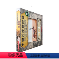 藏羚羊 [正版]中国的珍稀动物系列3D立体图书 藏羚羊 3-6岁宝宝立体翻翻书洞洞书科普认知启蒙动物书籍动物百科大全书籍