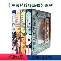 中国的珍稀动物 [正版]中国的珍稀动物:雪豹+藏铃羊+大熊猫+金丝猴 全套4册科普类书籍小学生动物百科十万个百科全书儿童