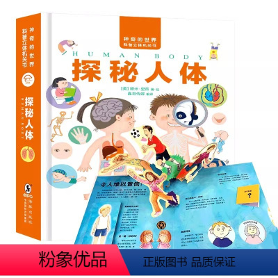 正版探秘人体3D立体翻翻书 [正版]揭秘人体3d立体书翻翻书 探秘我们的身体百科全书儿童3-6-岁以上人体科普百科全书幼