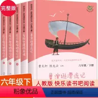 [人教版]快乐读书吧六年级下册 全5册 [正版]人教版快乐读书吧六年级下册 鲁滨逊漂流记 爱丽丝 尼尔斯骑鹅旅行小学生必