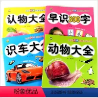 [正版]全套4册儿童启蒙认知卡早识300字快速认字大全看图认物大识字书 婴儿宝宝认世界0-2-3-4-5-6岁幼儿园认