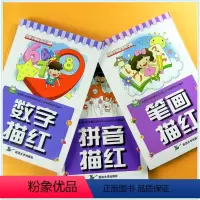 [正版]3本幼小衔接一日一练全套 幼儿启蒙铅笔0-100数字拼音描红早教书幼儿园笔画笔顺写字帖声母韵母整体认读音节3-