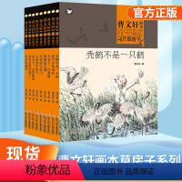 [全9册]曹文轩画本草房子 [正版]曹文轩草房子画本系列全套9册 天空的花环在长长的河流上秃鹤红菱船 三四五六年级课外书