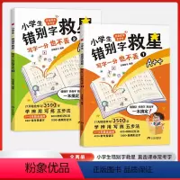 小学生错别字救星(全2本) 小学通用 [正版](全2本)小学生错别字救星:写字一分也不丢:全两册 1-6年级全适用 易错