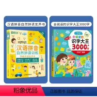 (全2本)拼音+识字3000字 [正版]儿童拼音手指点读发声书学前拼音学习神器幼小衔接汉语拼音拼读训练幼小衔接幼儿有声读
