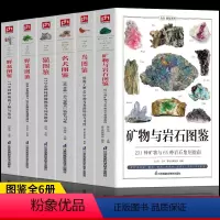 [正版]6册 矿物与岩石图鉴 鸟图鉴 名犬图鉴 猫图鉴 野菜图解 野花图鉴 收藏爱好者鉴别指南 鸟类行为矿石图鉴 野外